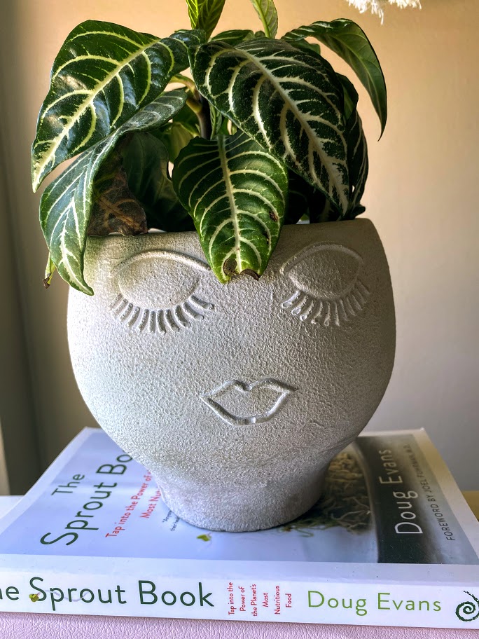 plant over books