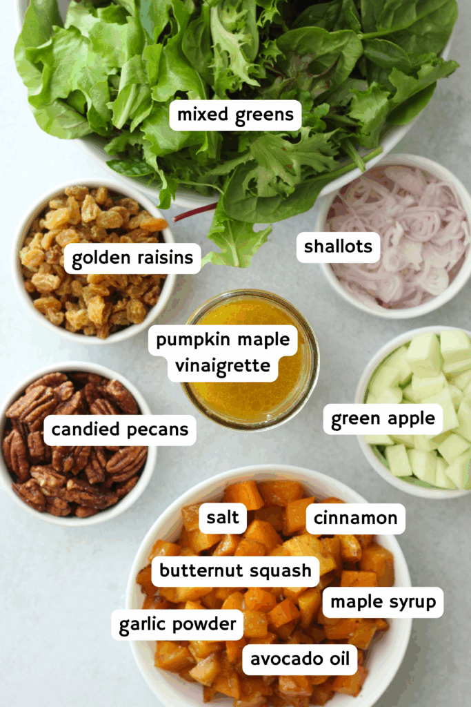 All of the ingredients needed to make this fall salad.