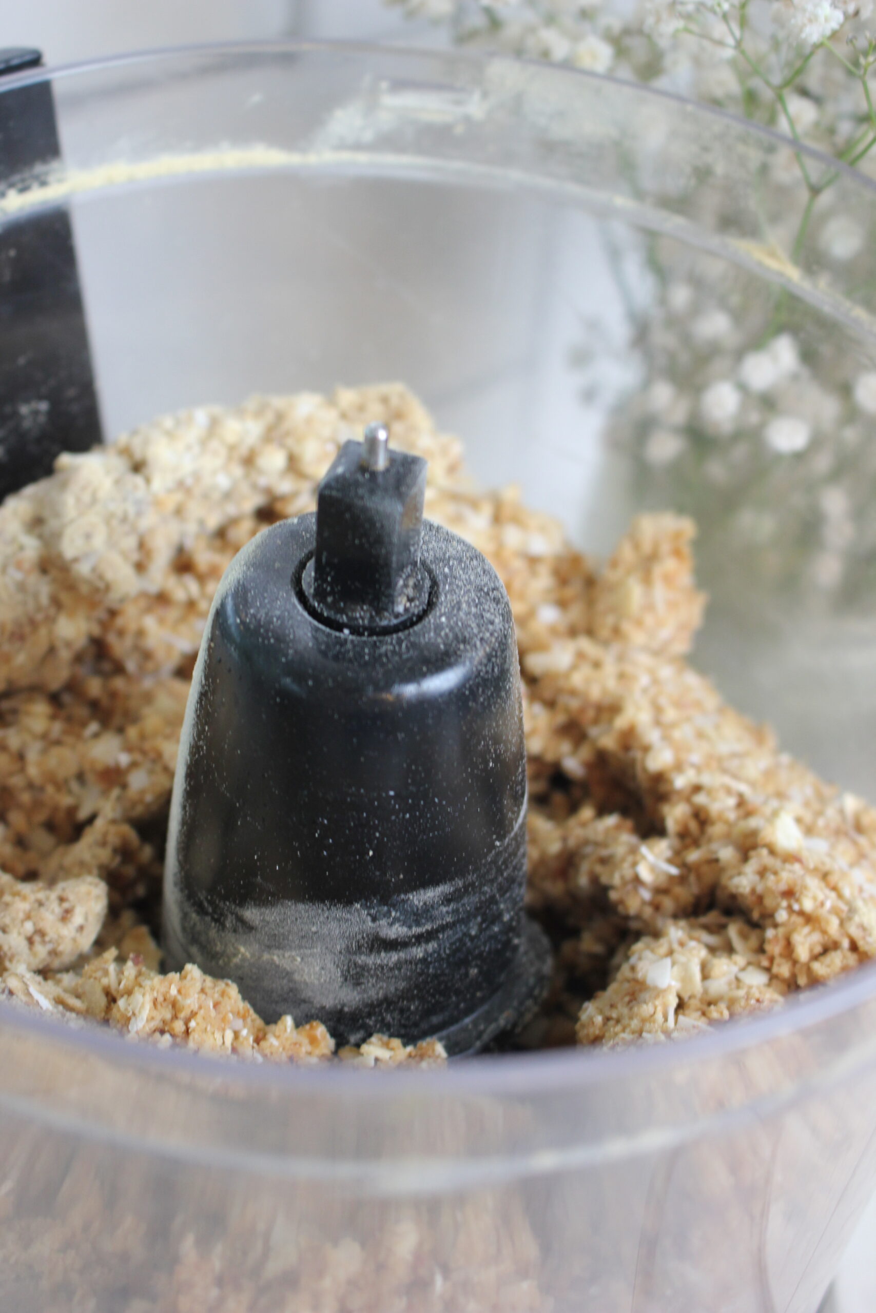 Easy NoBake Vegan Cashew Coconut Protein Bites The Happy and