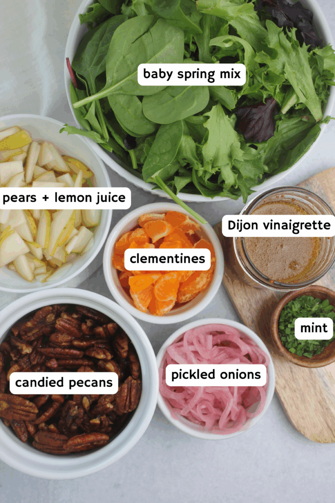 All of the ingredients needed to make this vegan spring salad.