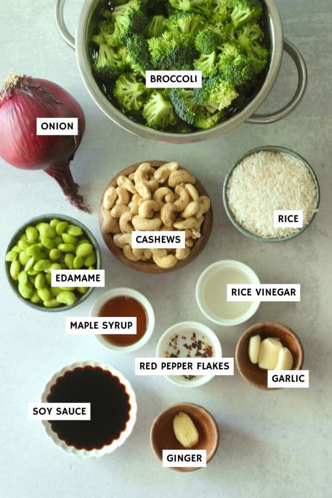 All of the ingredients needed to make this 30 Minute Vegan Stir Fry.